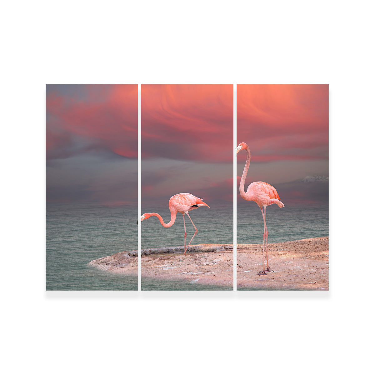 Pink Flamingo's on the Coast Wall Art