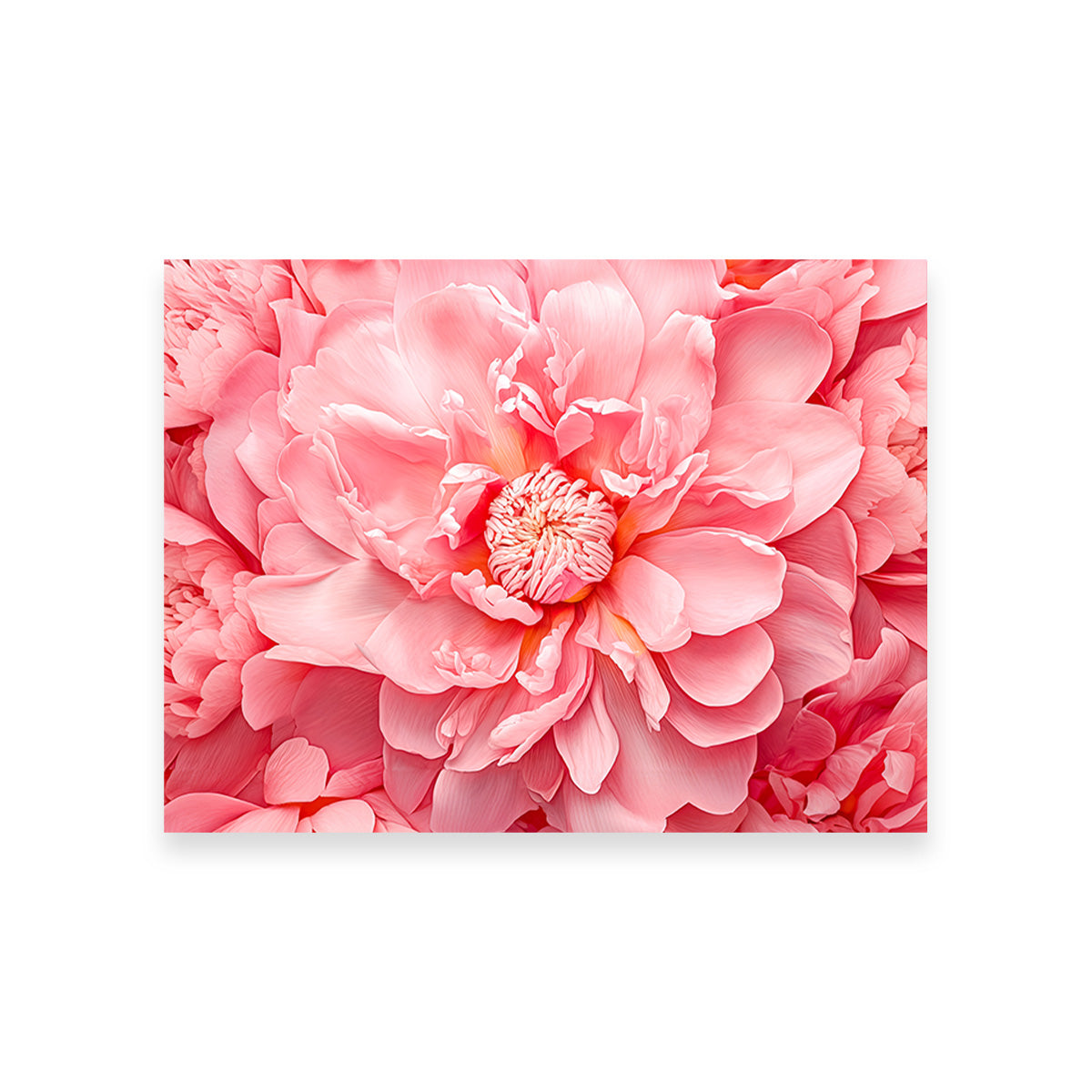 Pink Flower Wall Art