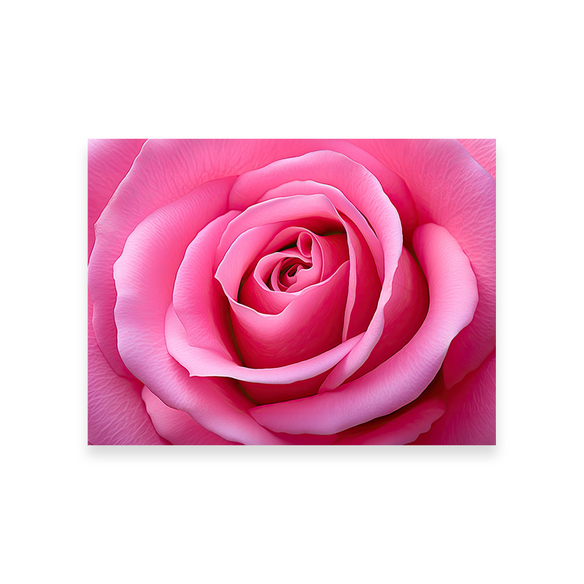 Pink Rose Wall Art
