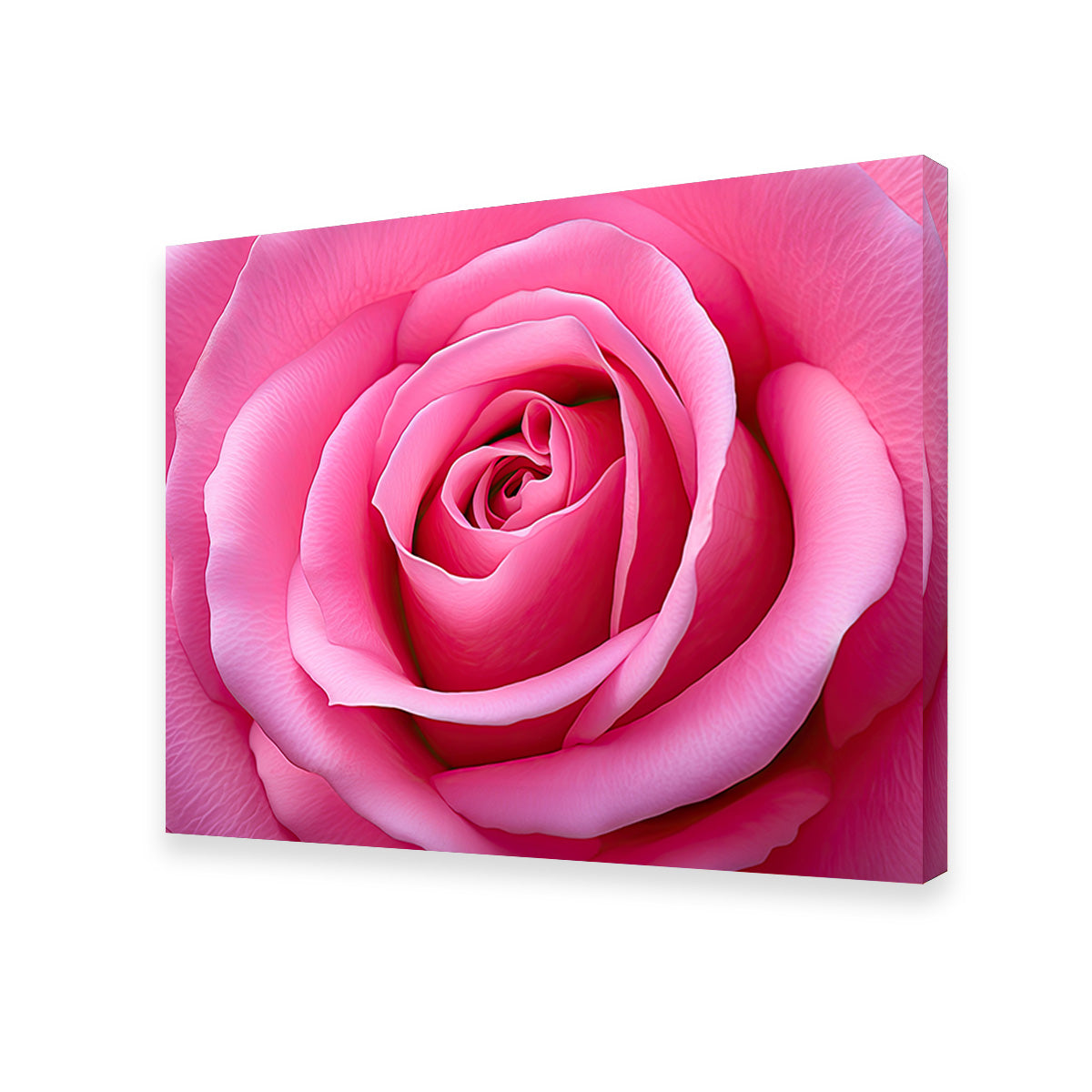Pink Rose Wall Art