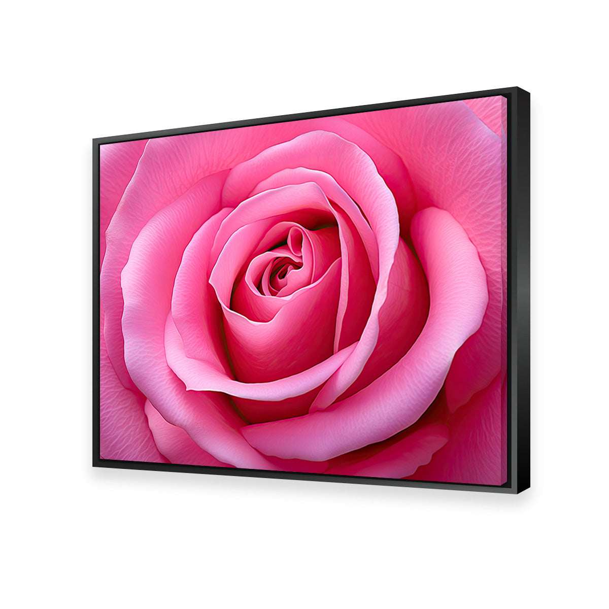Pink Rose Wall Art