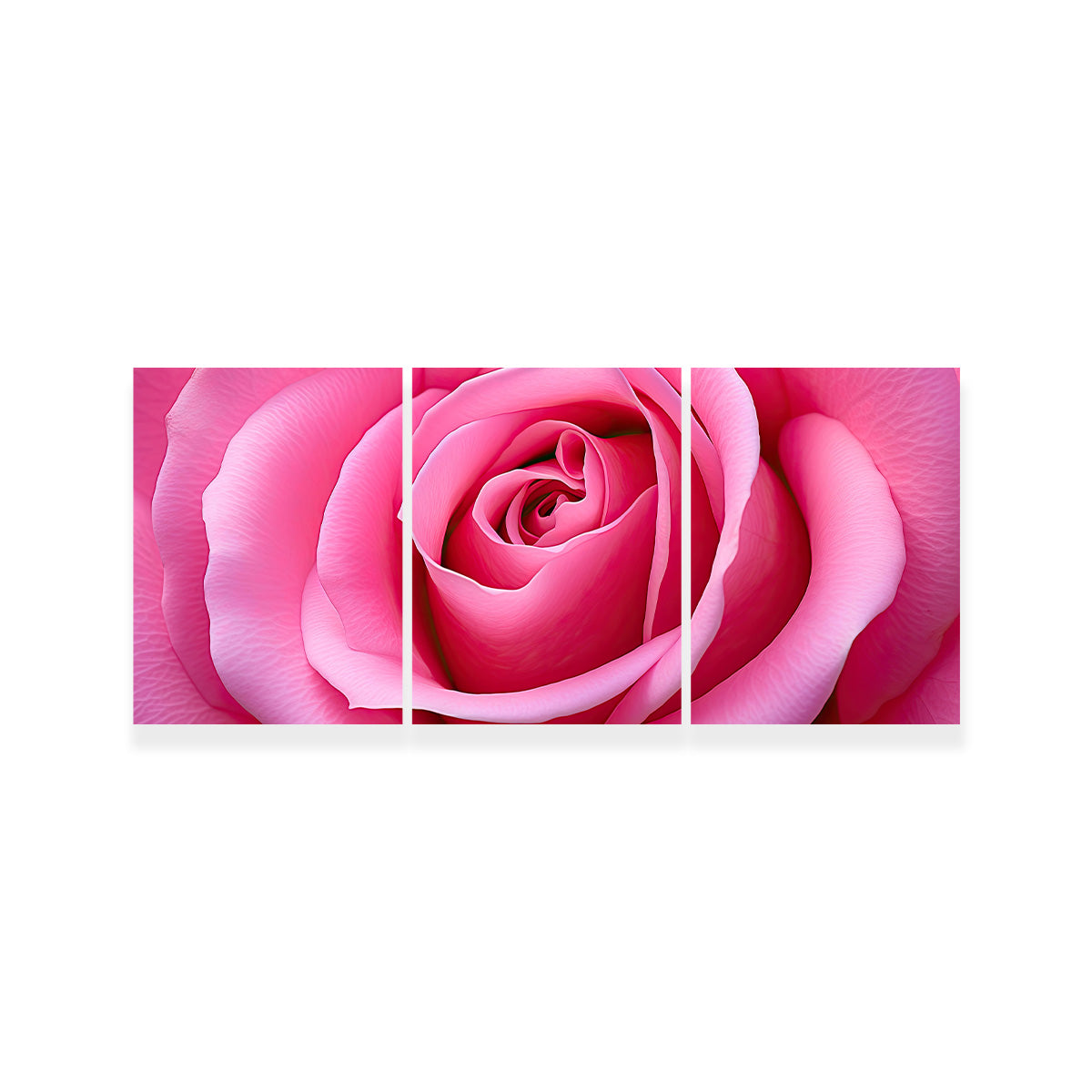 Pink Rose Wall Art