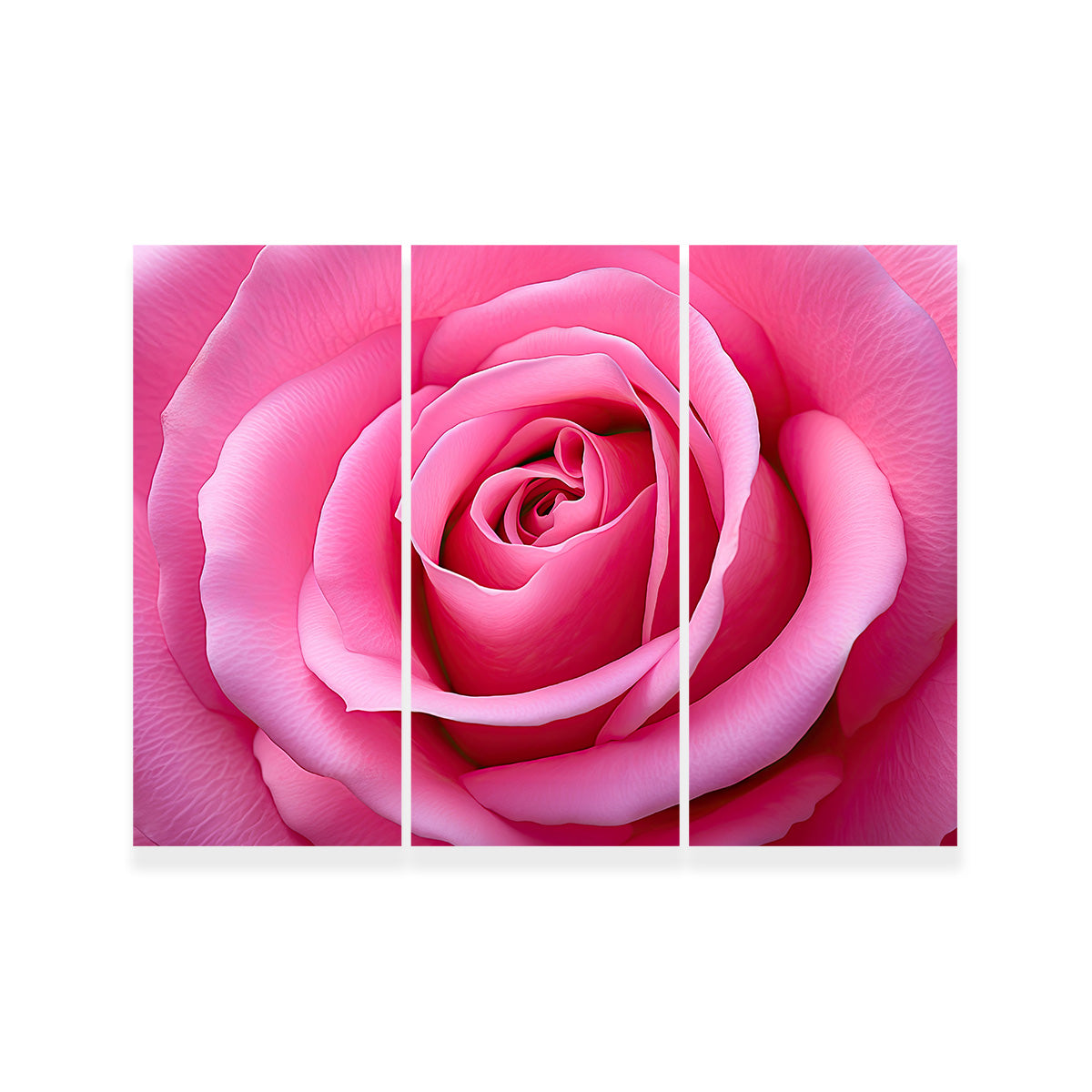 Pink Rose Wall Art