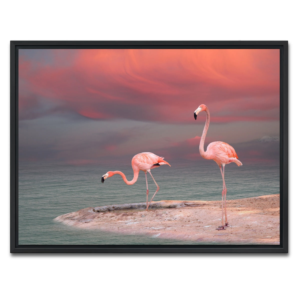 AUTO-MOCKUP WHITE | Pink Flamingo's on the Coast | 1 Piece | Black Framed Canvas | group=4x3