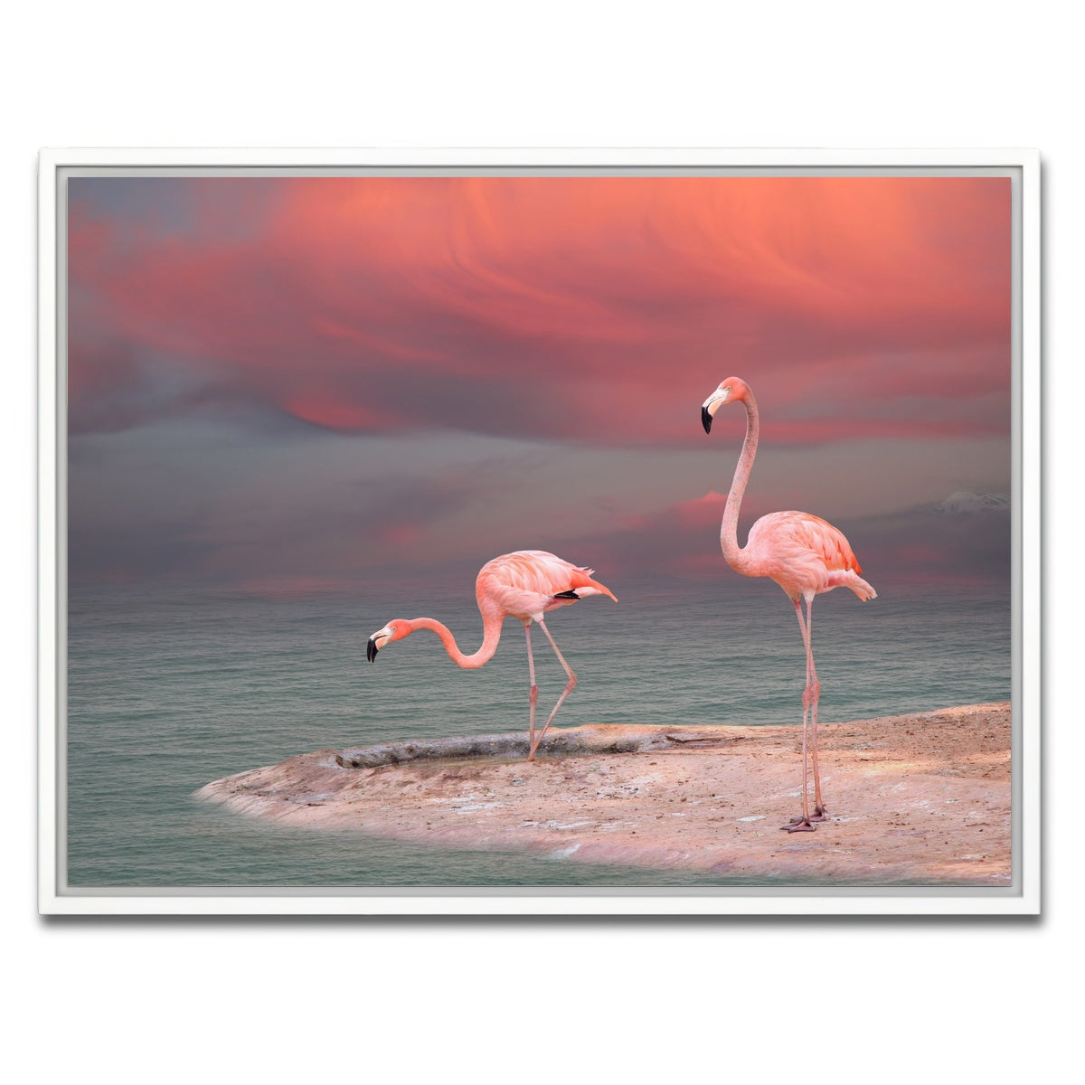 AUTO-MOCKUP WHITE | Pink Flamingo's on the Coast | 1 Piece | White Framed Canvas | group=4x3