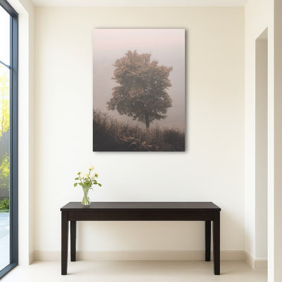 AUTO-MOCKUP ROOM | Pink Haze