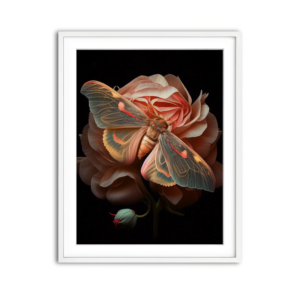 Framed Print 3x4 White
