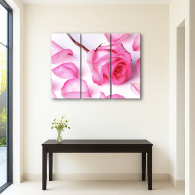 AUTO-MOCKUP ROOM | Pink Rose Petals