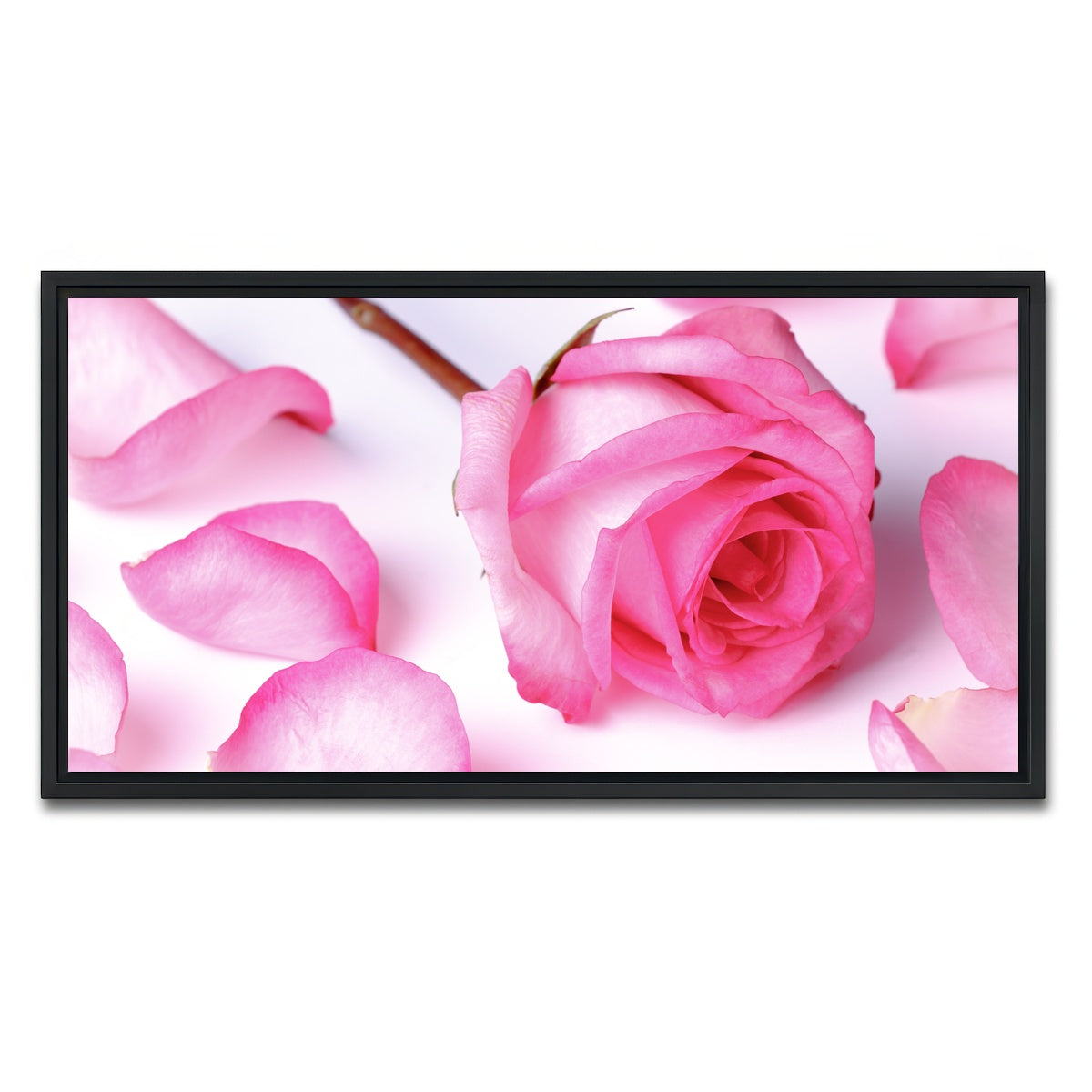 AUTO-MOCKUP WHITE | Pink Rose Petals | 1 Piece | Black Framed Canvas | group=2x1