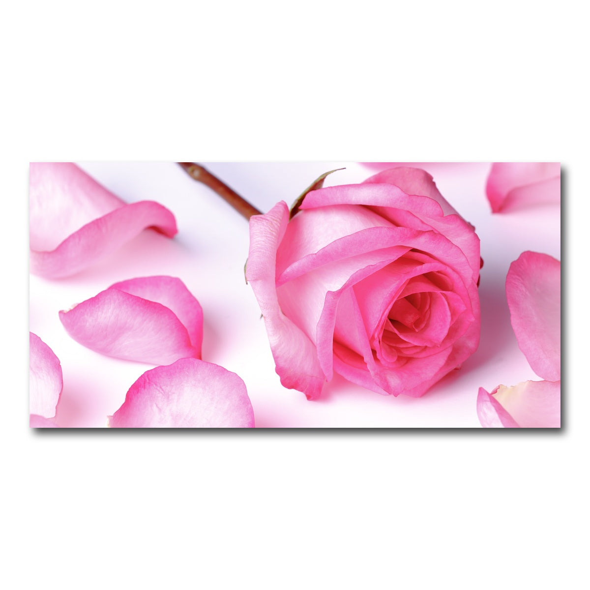 AUTO-MOCKUP WHITE | Pink Rose Petals | 1 Piece | Gallery Wrap Canvas | group=2x1