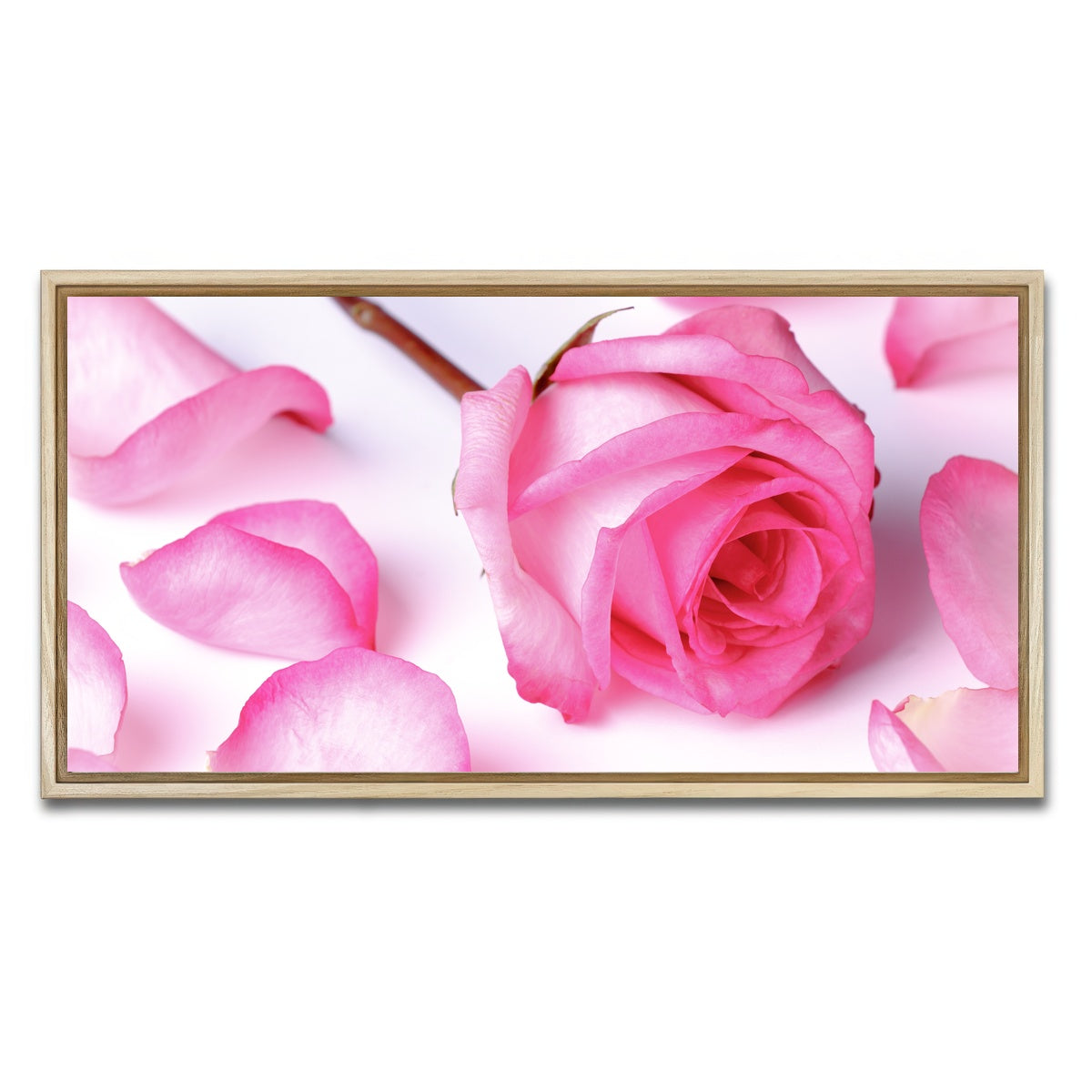 AUTO-MOCKUP WHITE | Pink Rose Petals | 1 Piece | Natural Framed Canvas | group=2x1