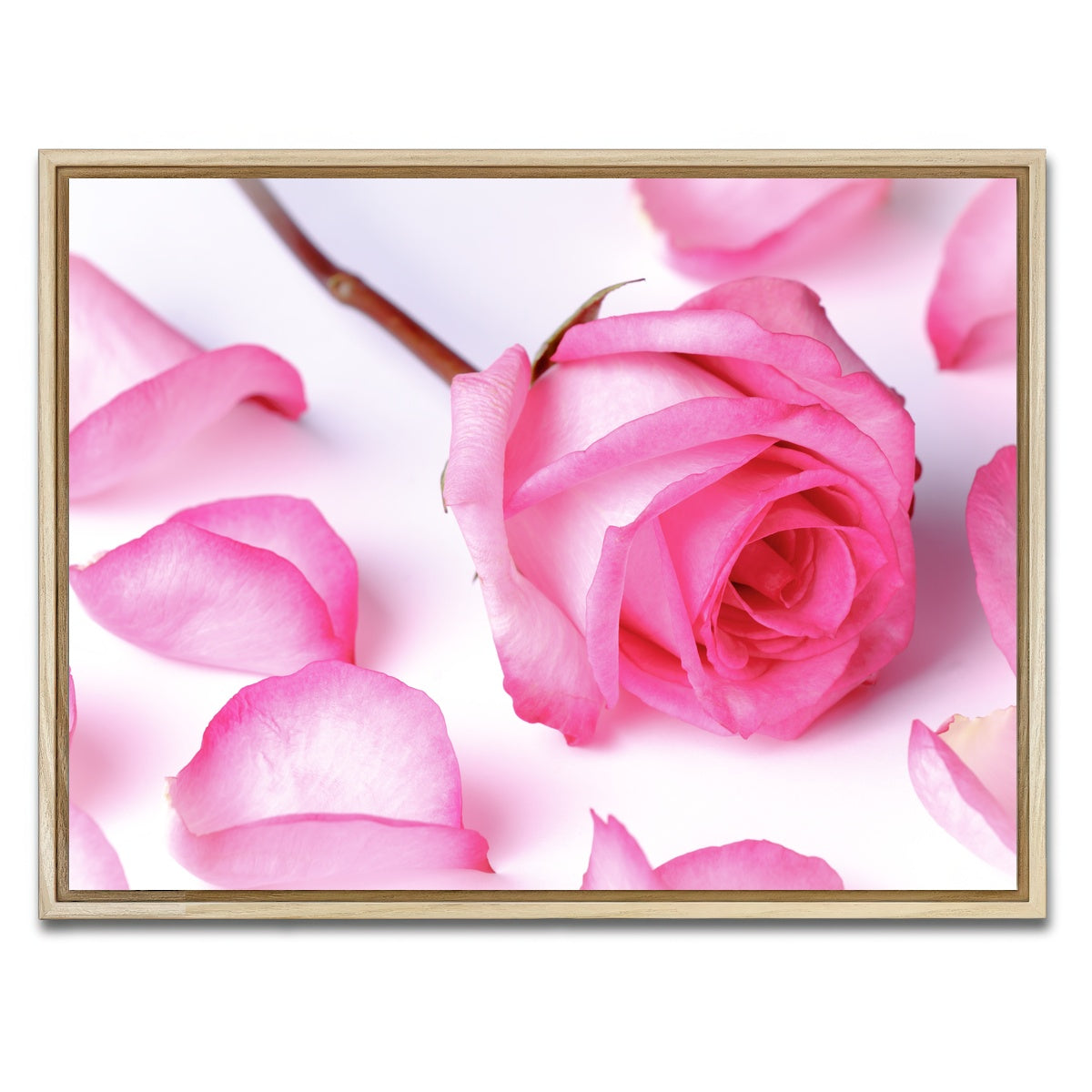 AUTO-MOCKUP WHITE | Pink Rose Petals | 1 Piece | Natural Framed Canvas | group=4x3