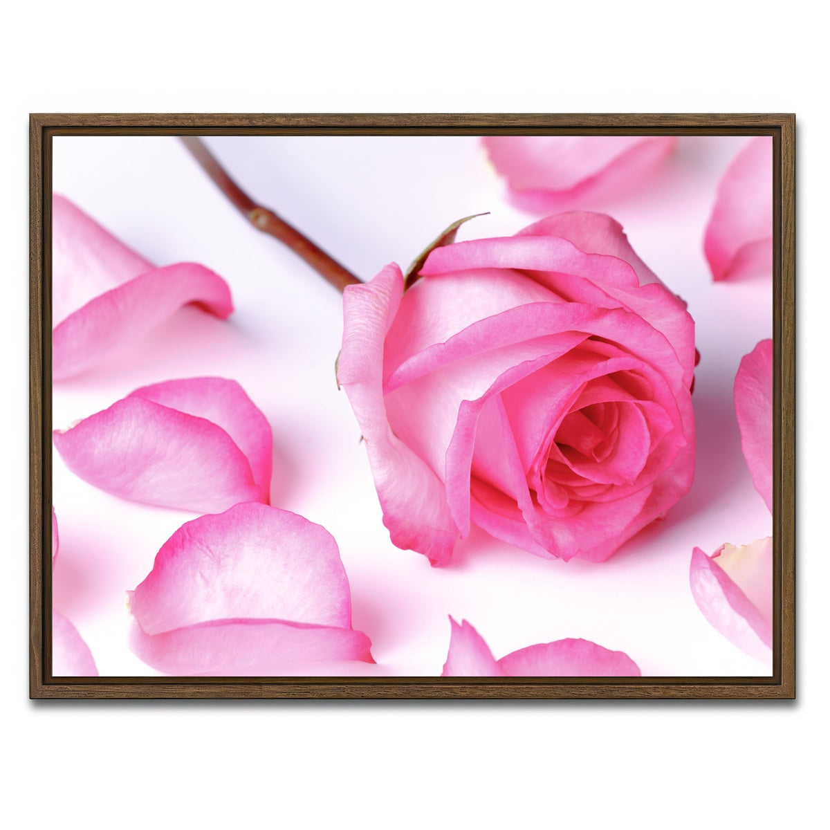 AUTO-MOCKUP WHITE | Pink Rose Petals | 1 Piece | Walnut Framed Canvas | group=4x3