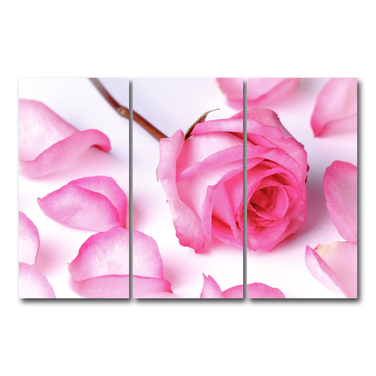 AUTO-MOCKUP WHITE | Pink Rose Petals | 3 Piece | Gallery Wrap Canvas | group=12x24