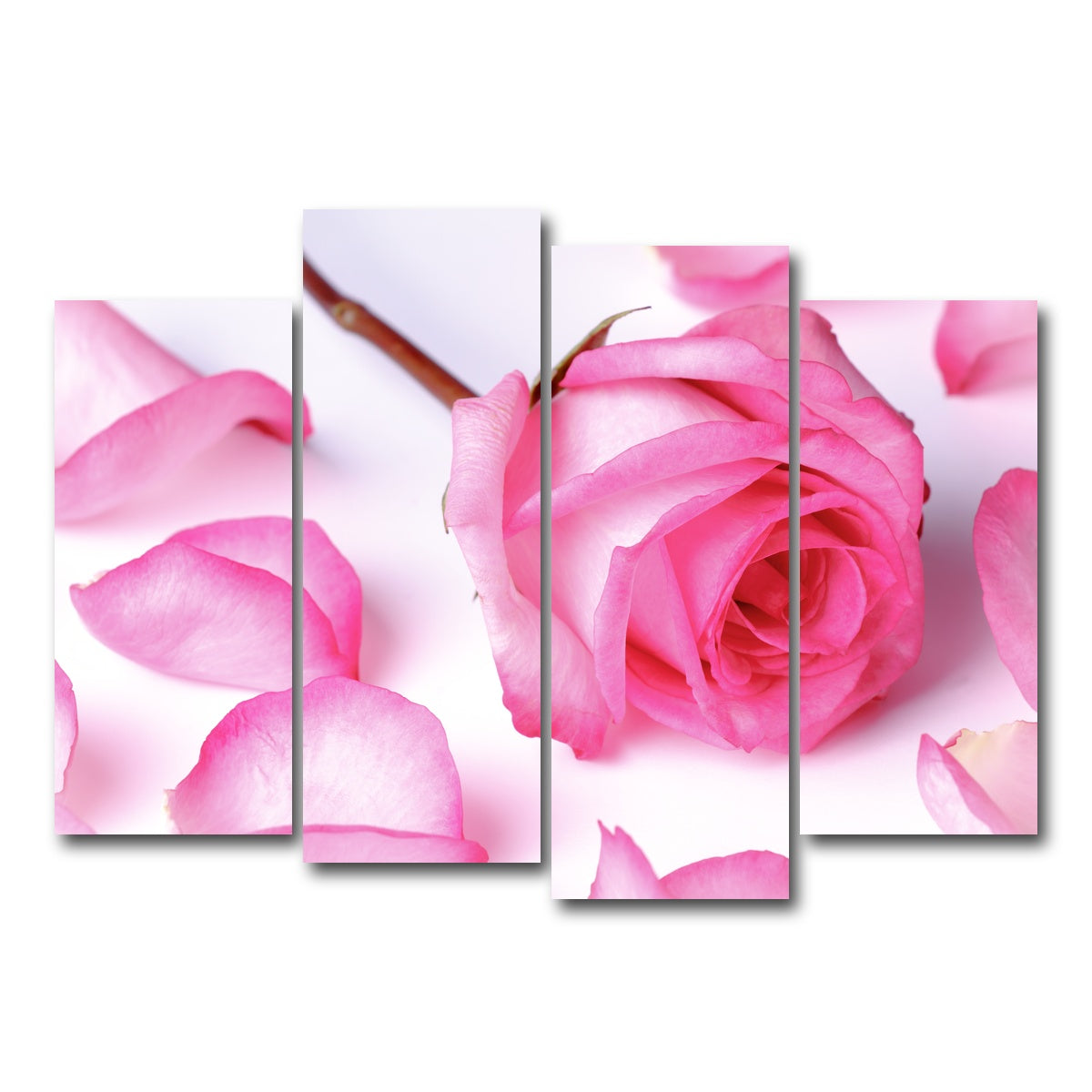 AUTO-MOCKUP WHITE | Pink Rose Petals | 4 Piece | Gallery Wrap Canvas | group=4_normal