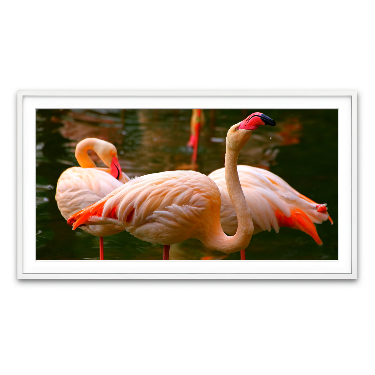 Framed Print 2x1 White