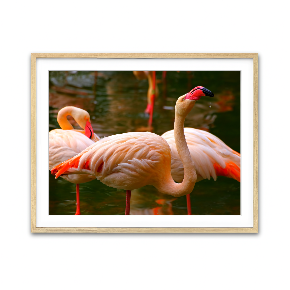 Framed Print 4x3 Natural