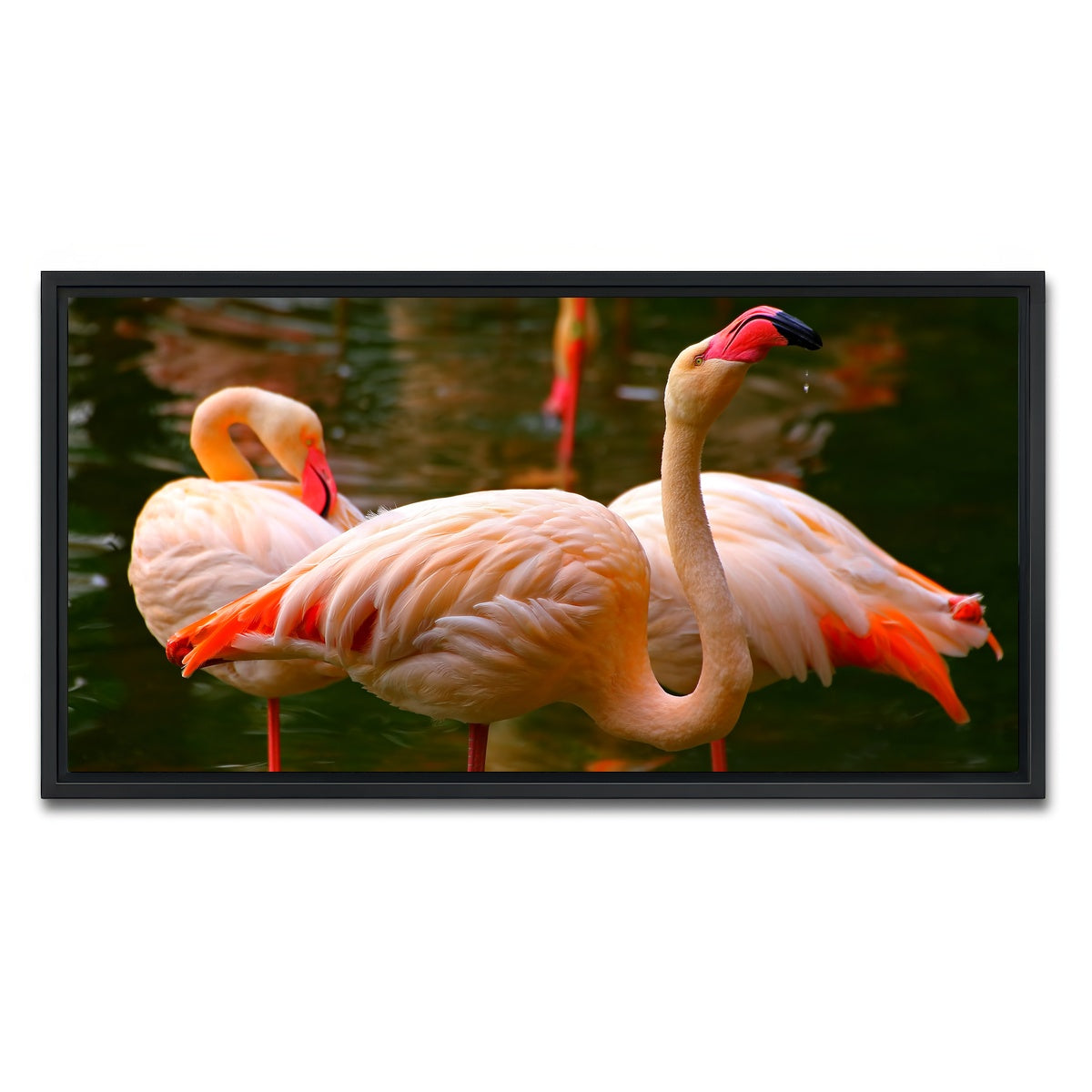 AUTO-MOCKUP WHITE | Pink flamingo birds | 1 Piece | Black Framed Canvas | group=2x1