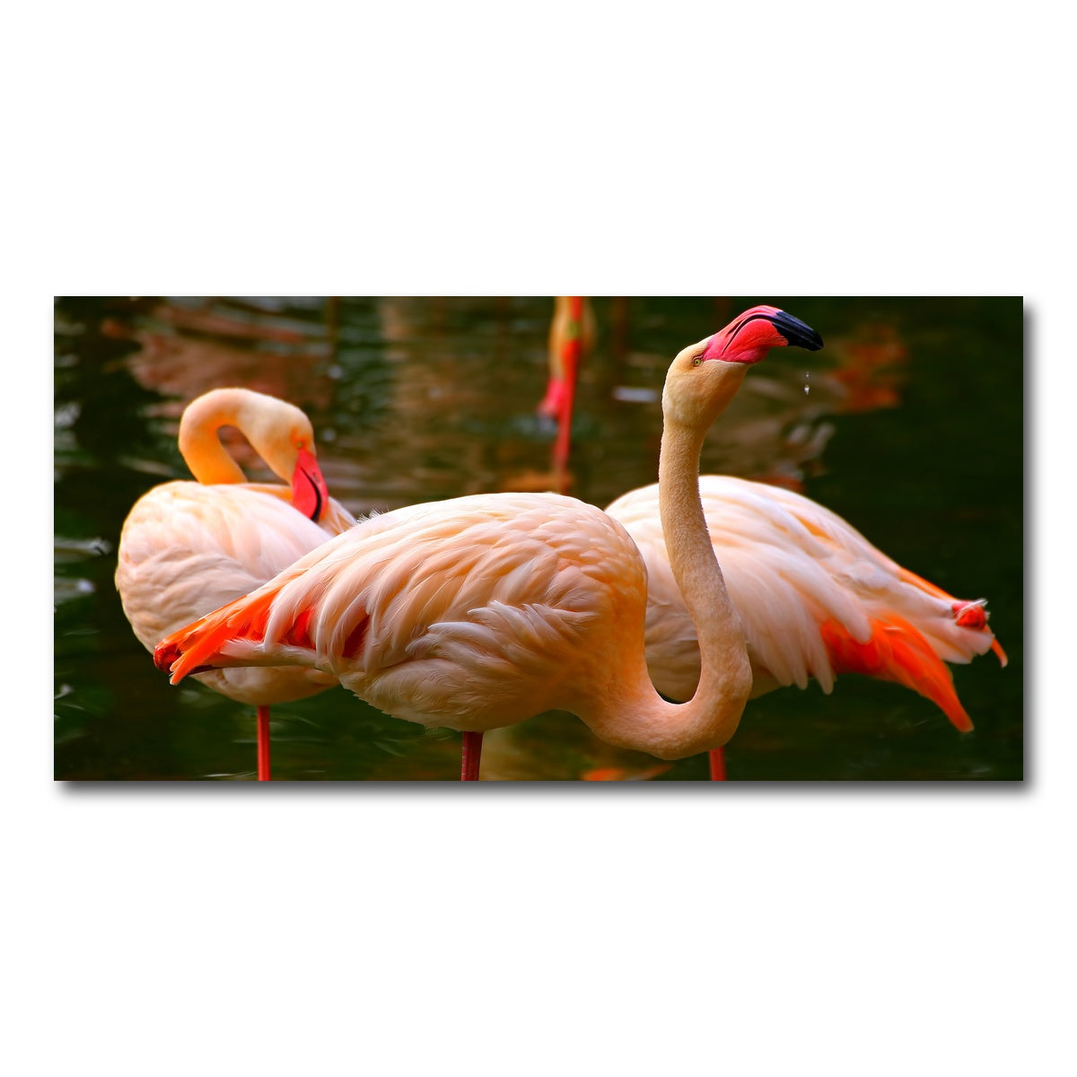 AUTO-MOCKUP WHITE | Pink flamingo birds | 1 Piece | Gallery Wrap Canvas | group=2x1
