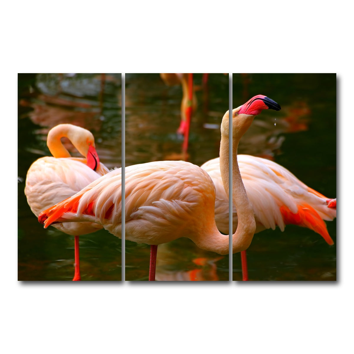 AUTO-MOCKUP WHITE | Pink flamingo birds | 3 Piece | Gallery Wrap Canvas | group=12x24