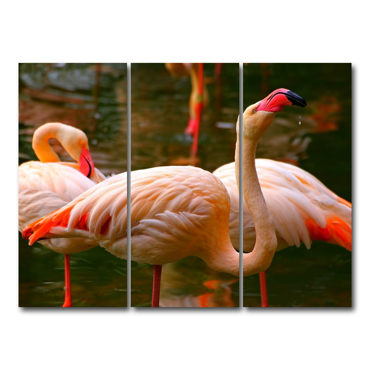 AUTO-MOCKUP WHITE | Pink flamingo birds | 3 Piece | Gallery Wrap Canvas | group=8x18