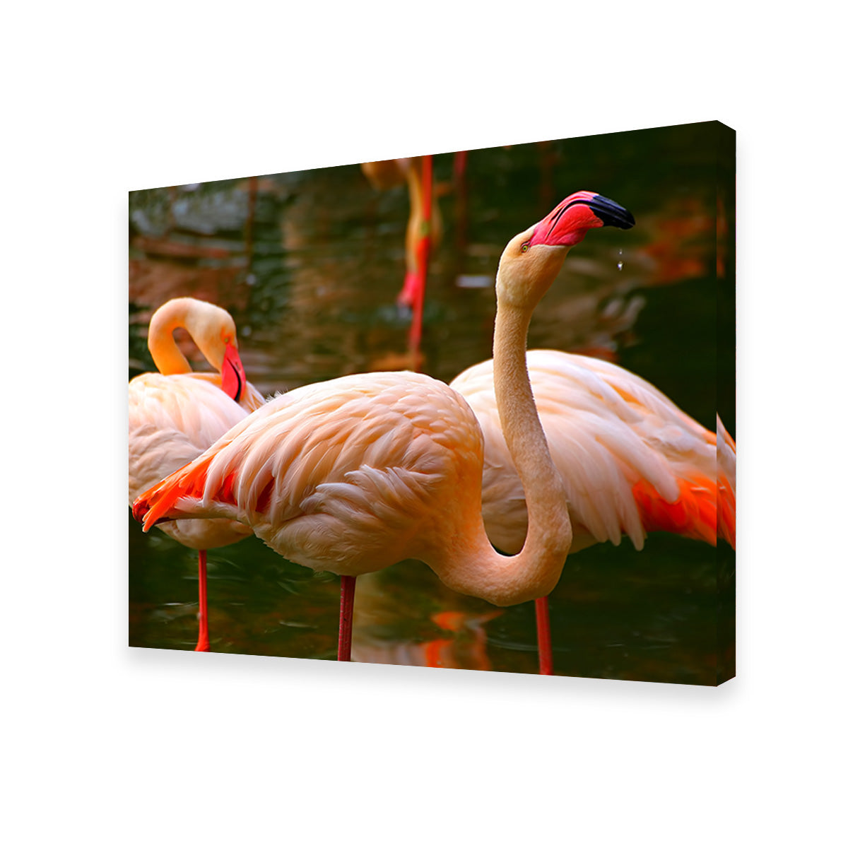 Pink Flamingo Birds Wall Art