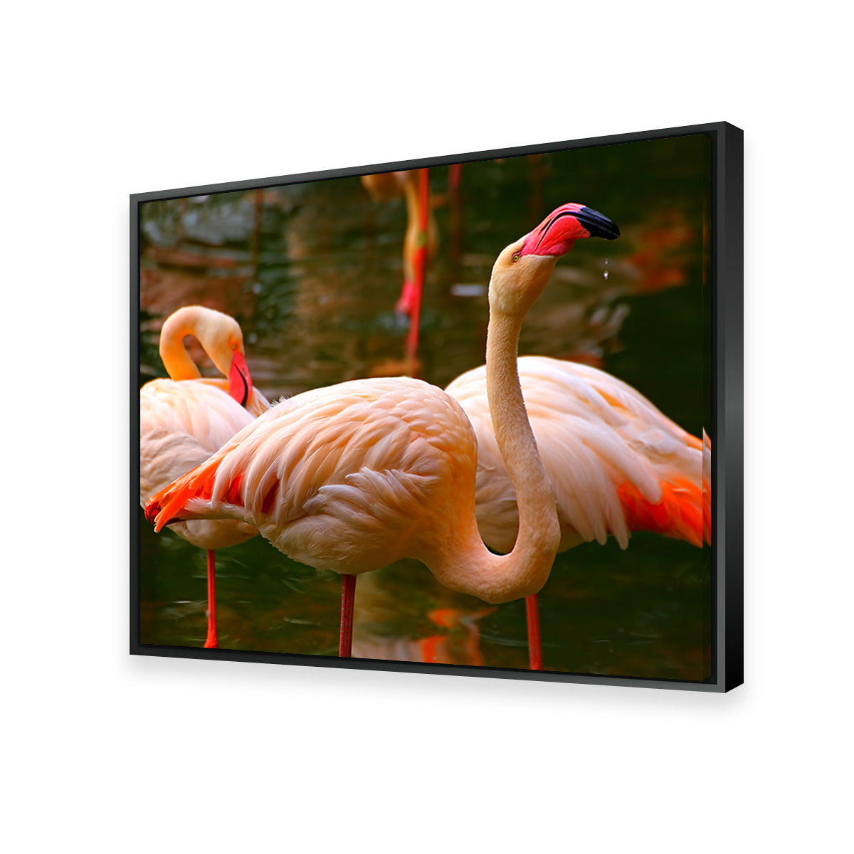 Pink Flamingo Birds Wall Art