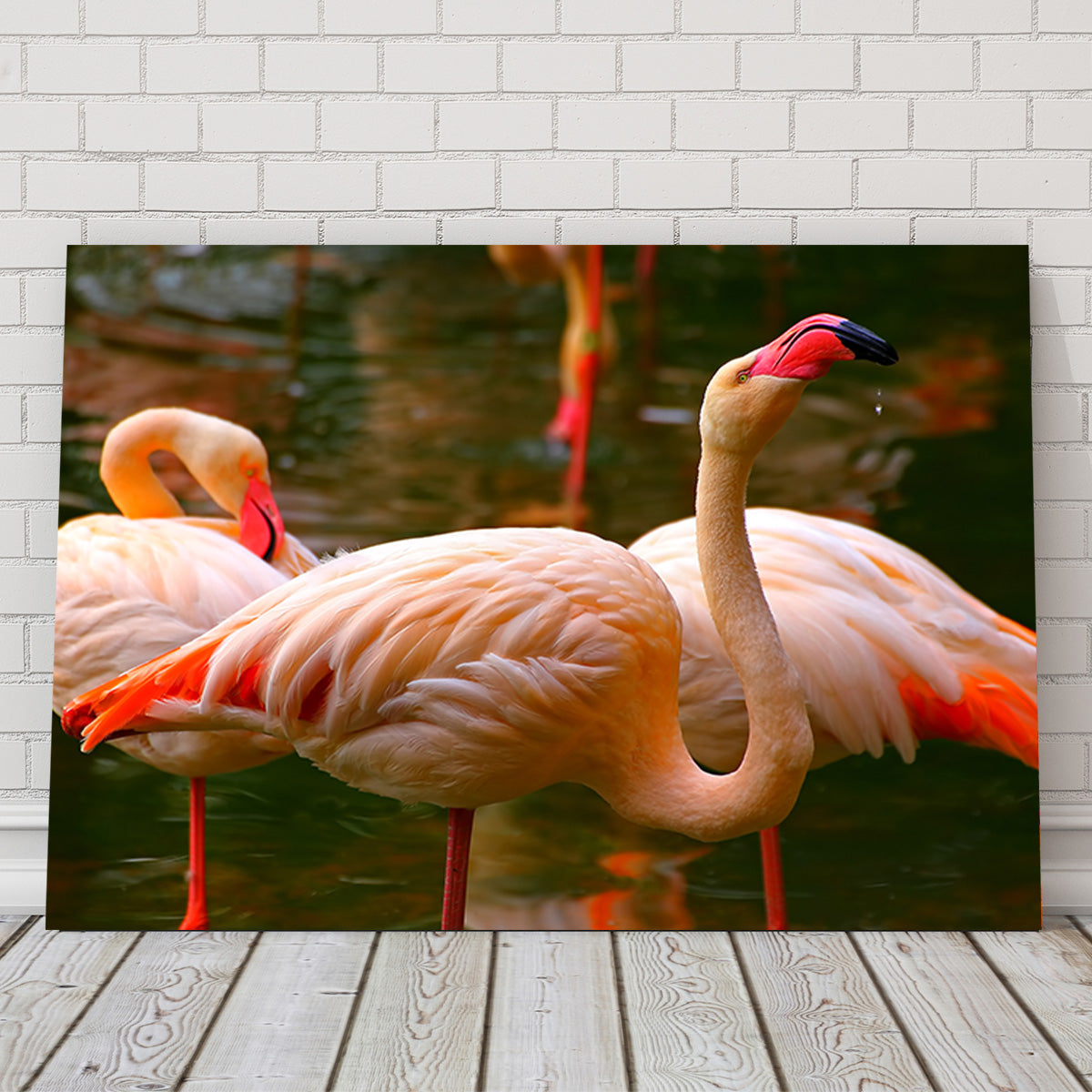 Pink Flamingo Birds Wall Art