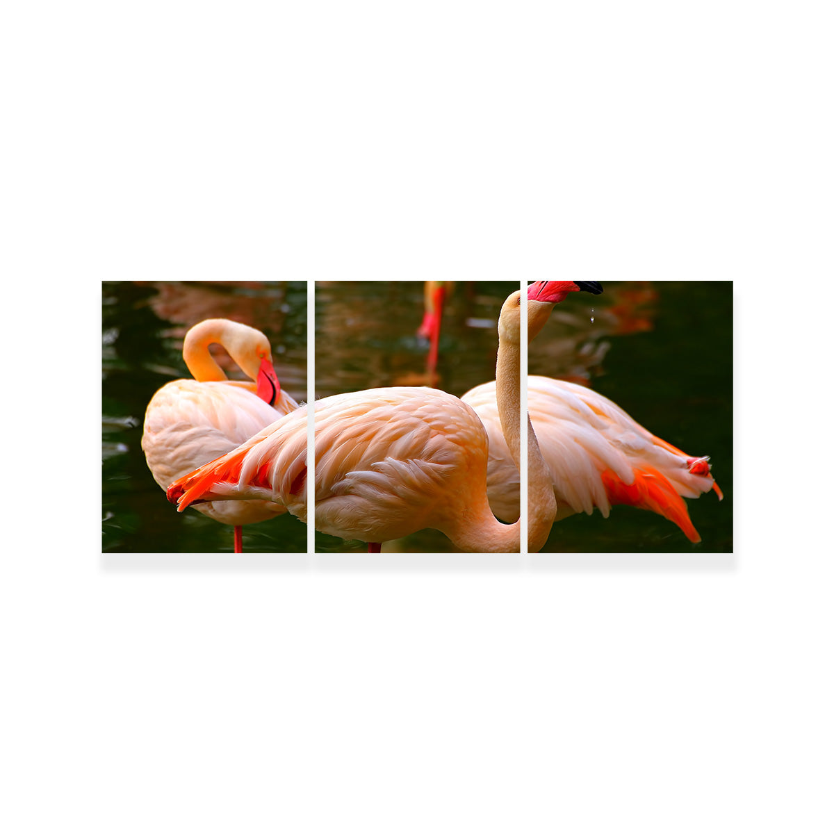 Pink Flamingo Birds Wall Art