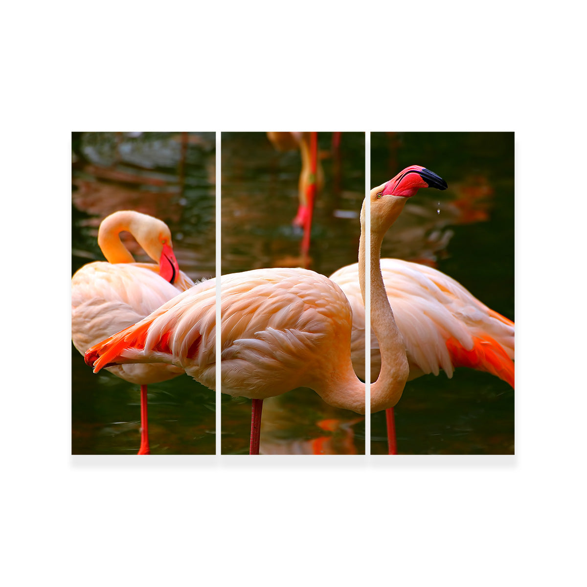 Pink Flamingo Birds Wall Art