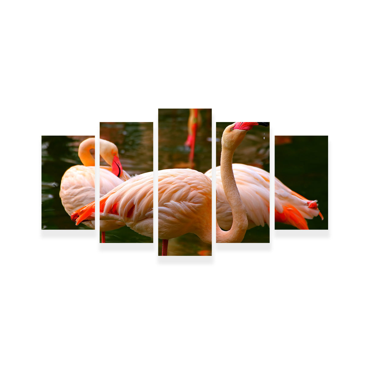 Pink Flamingo Birds Wall Art