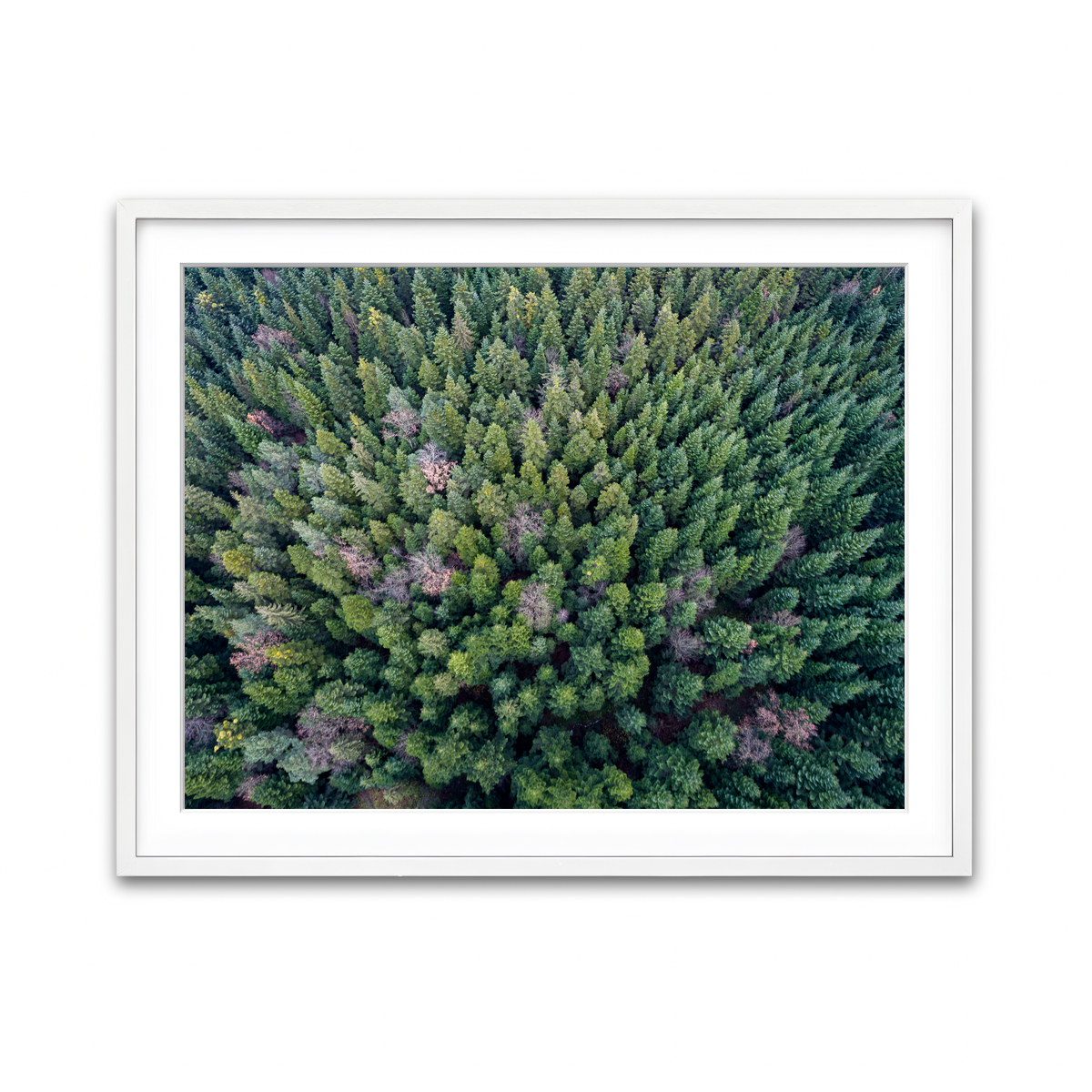 Framed Print 4x3 White