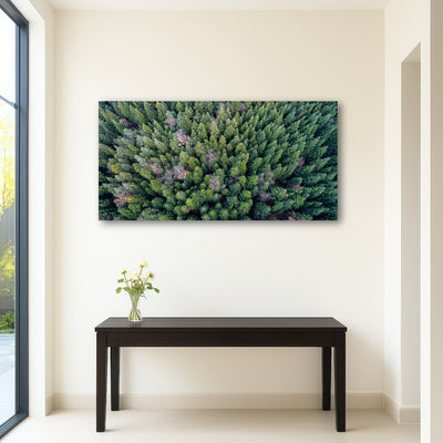 AUTO-MOCKUP ROOM | Pointy Pines