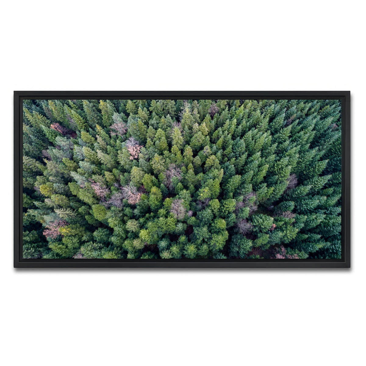 AUTO-MOCKUP WHITE | Pointy Pines | 1 Piece | Black Framed Canvas | group=2x1
