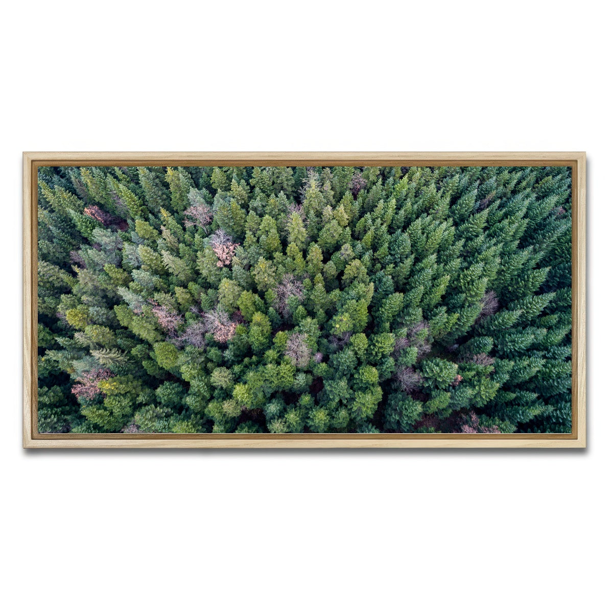AUTO-MOCKUP WHITE | Pointy Pines | 1 Piece | Natural Framed Canvas | group=2x1