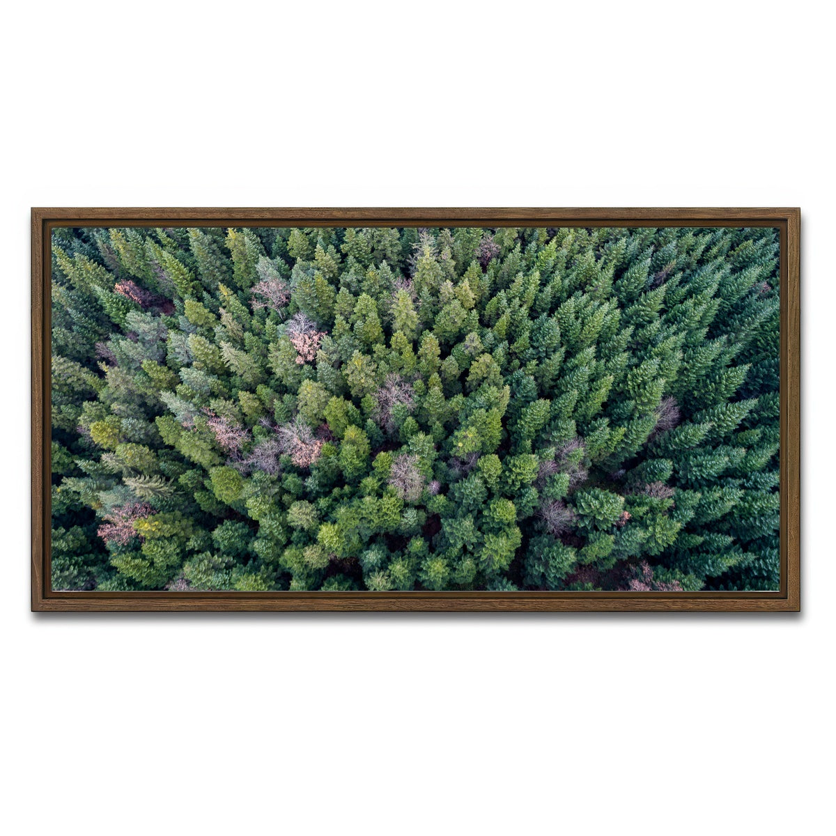 AUTO-MOCKUP WHITE | Pointy Pines | 1 Piece | Walnut Framed Canvas | group=2x1