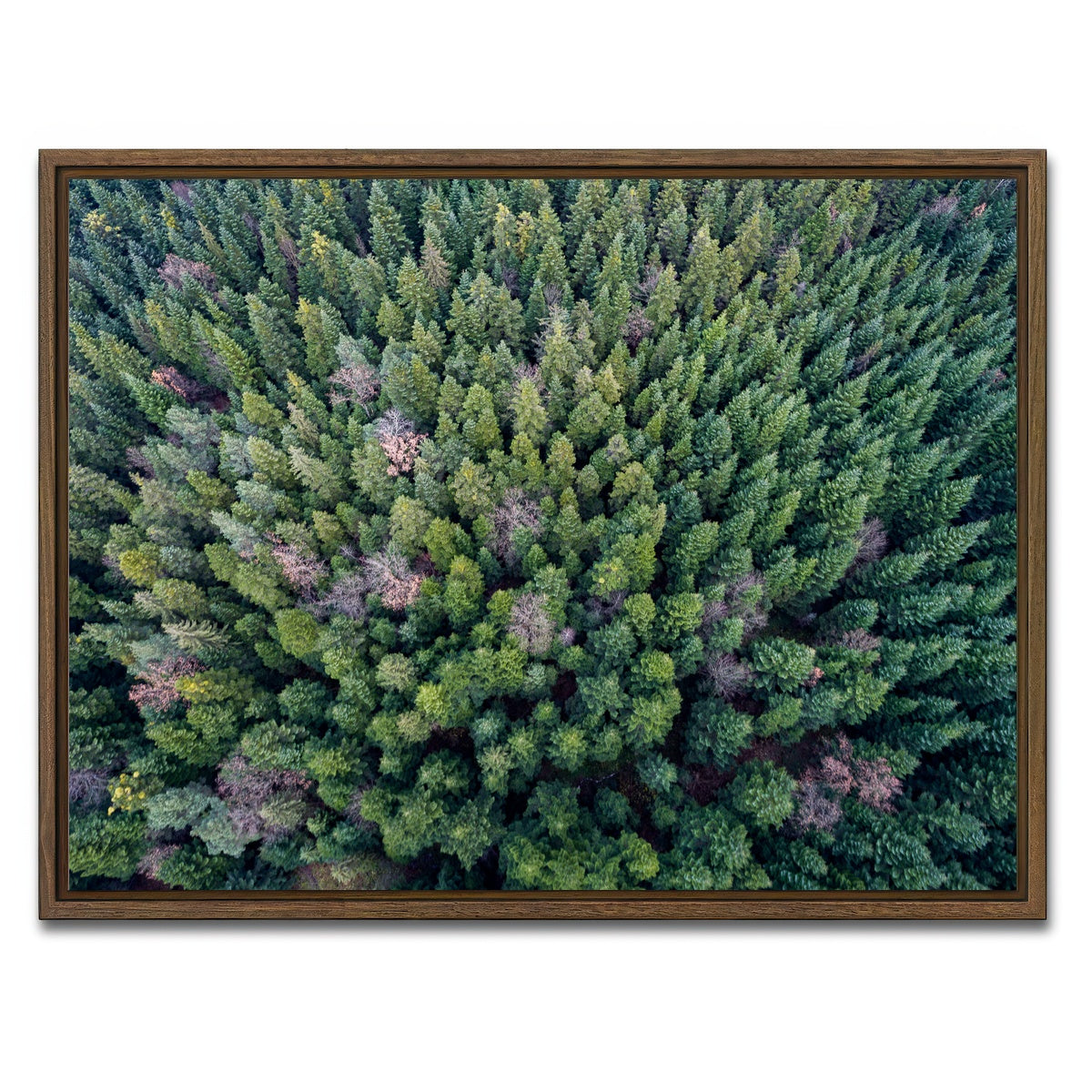 AUTO-MOCKUP WHITE | Pointy Pines | 1 Piece | Walnut Framed Canvas | group=4x3