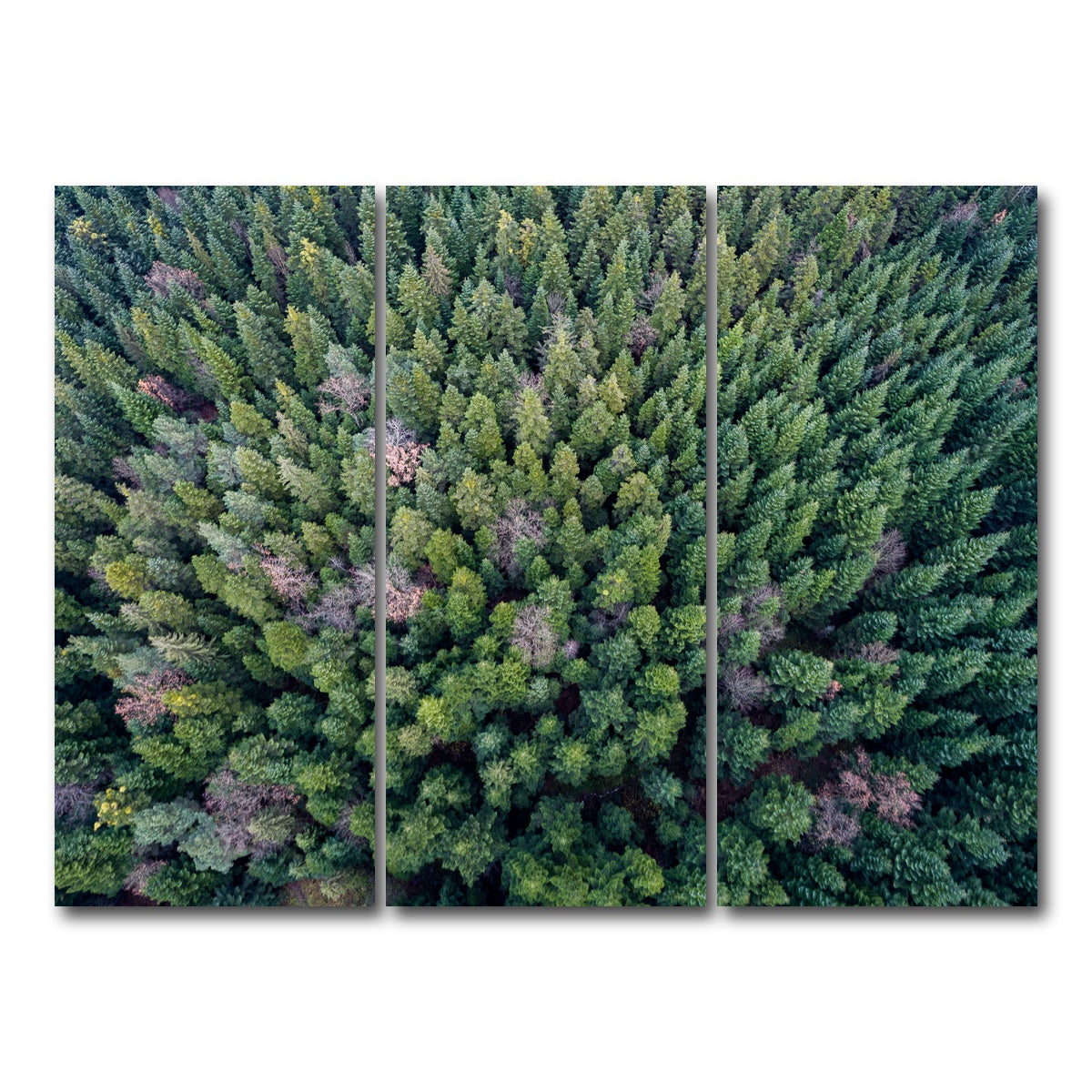 AUTO-MOCKUP WHITE | Pointy Pines | 3 Piece | Gallery Wrap Canvas | group=8x18