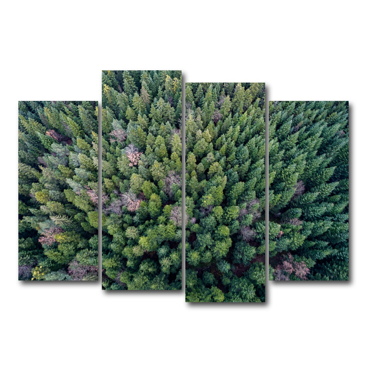 AUTO-MOCKUP WHITE | Pointy Pines | 4 Piece | Gallery Wrap Canvas | group=4_normal