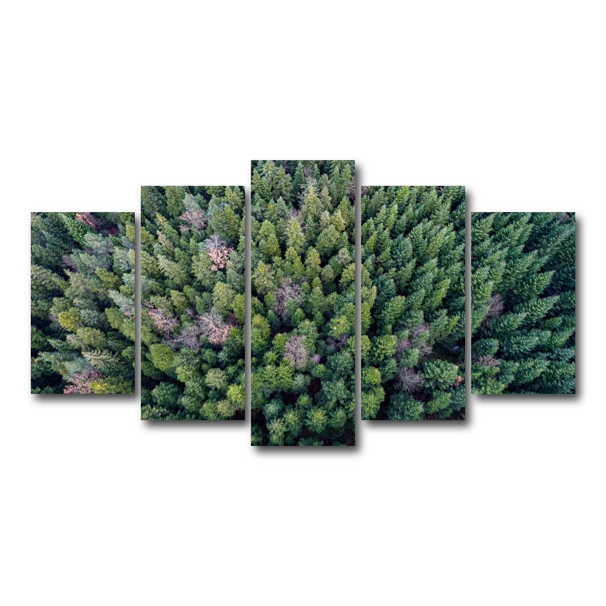 AUTO-MOCKUP WHITE | Pointy Pines | 5 Piece | Gallery Wrap Canvas | group=5_normal