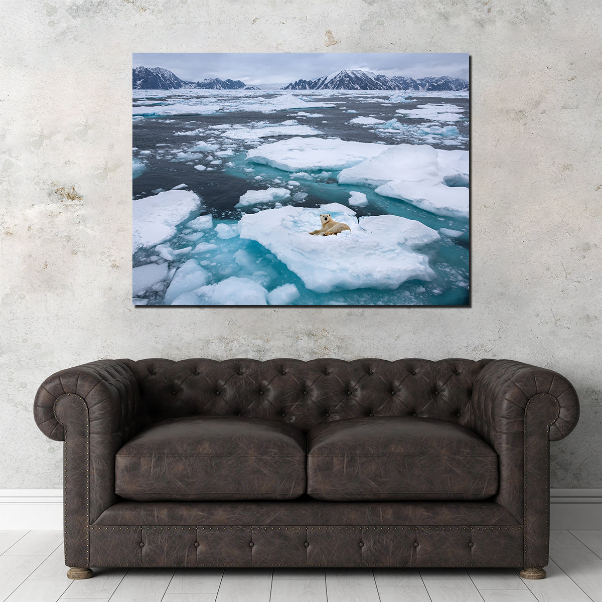 Polar Bear - Greenland Wall Art