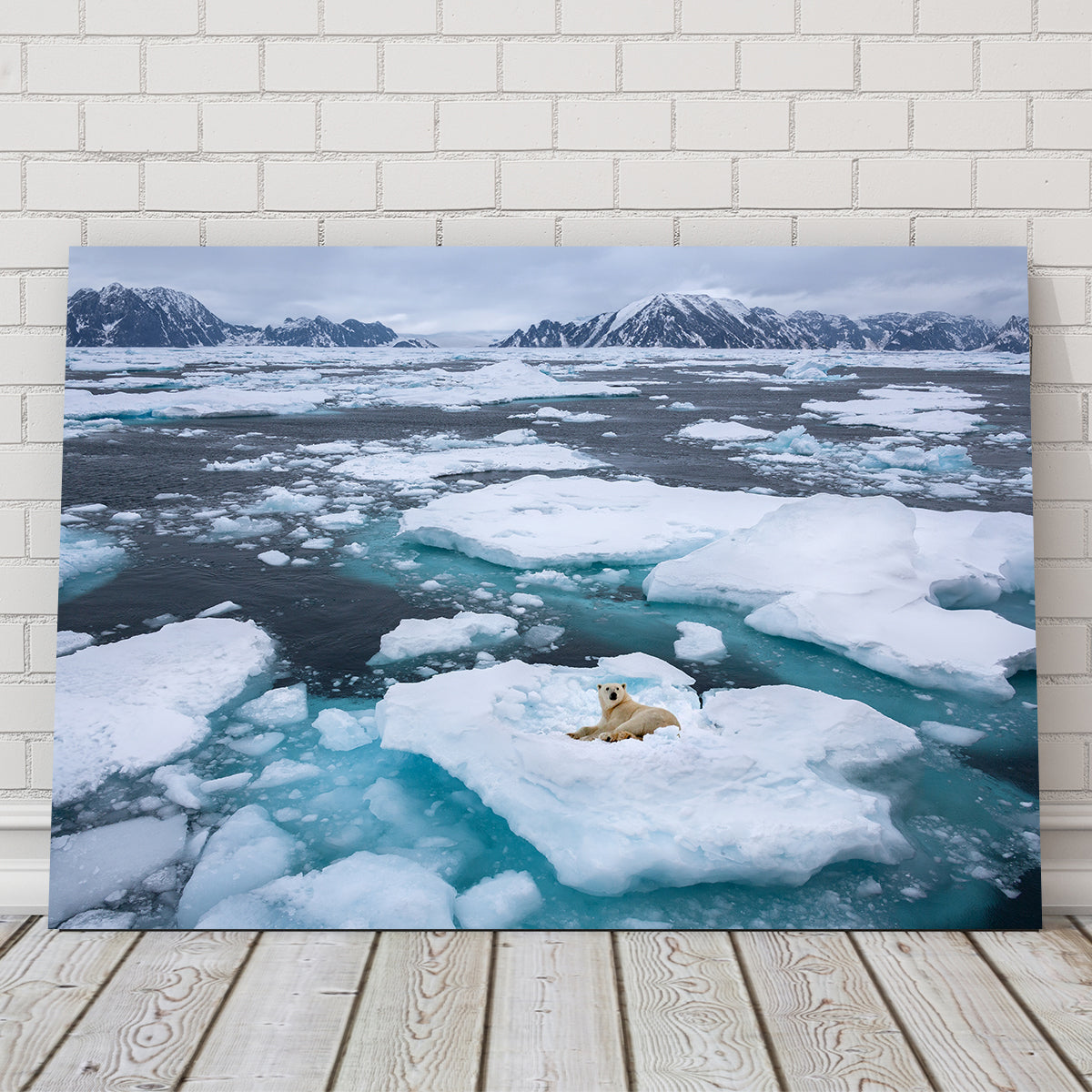 Polar Bear - Greenland Wall Art