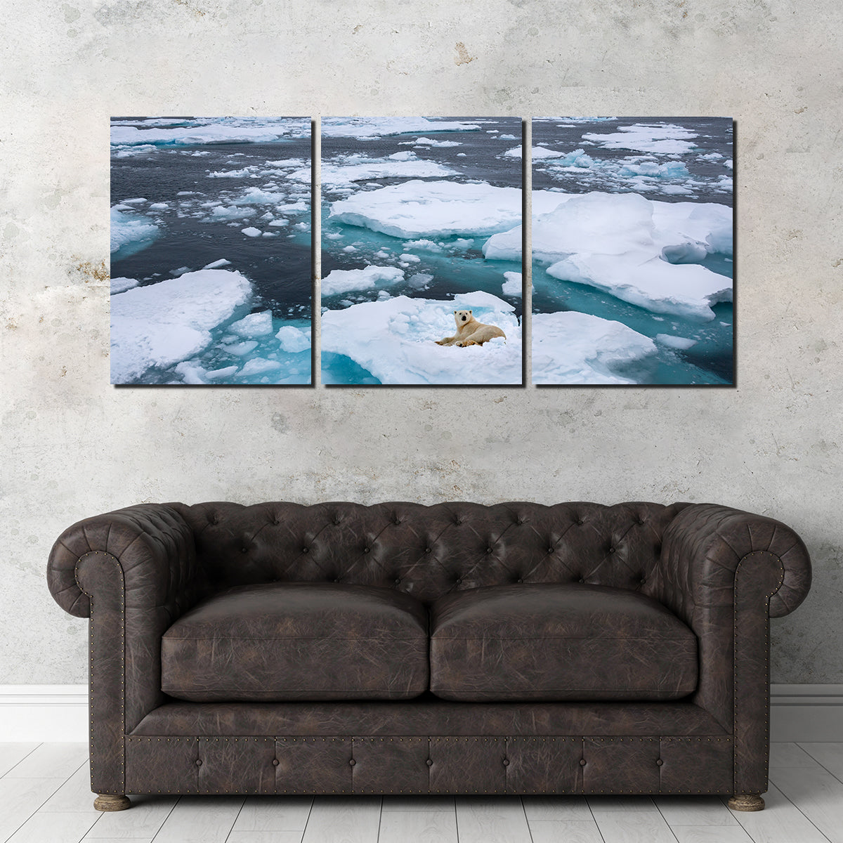Polar Bear - Greenland Wall Art