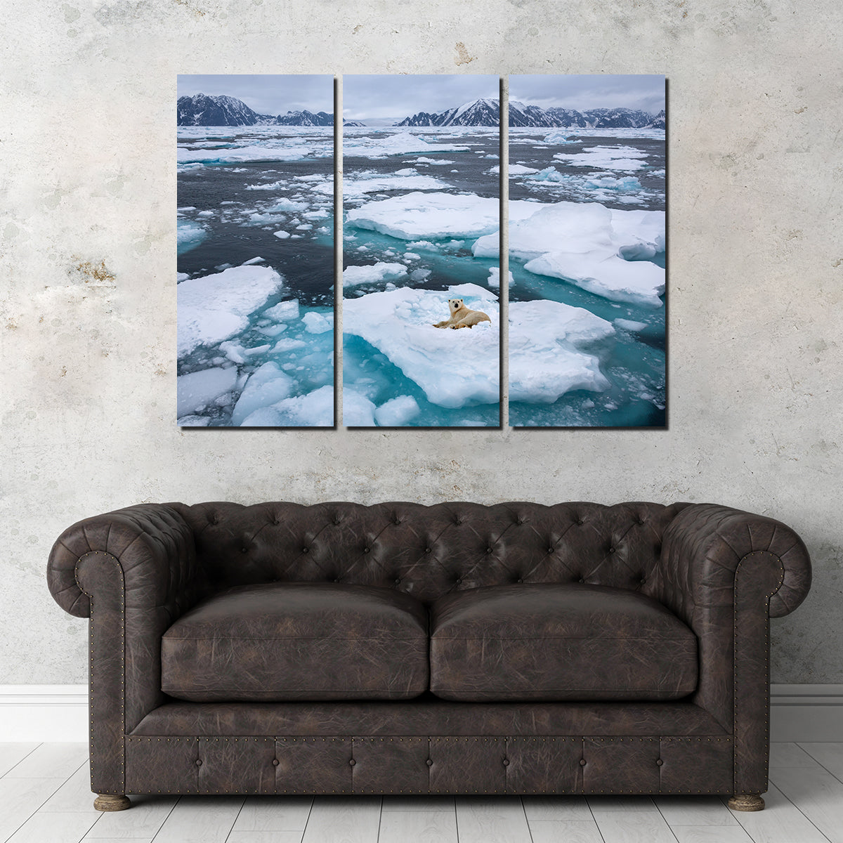 Polar Bear - Greenland Wall Art