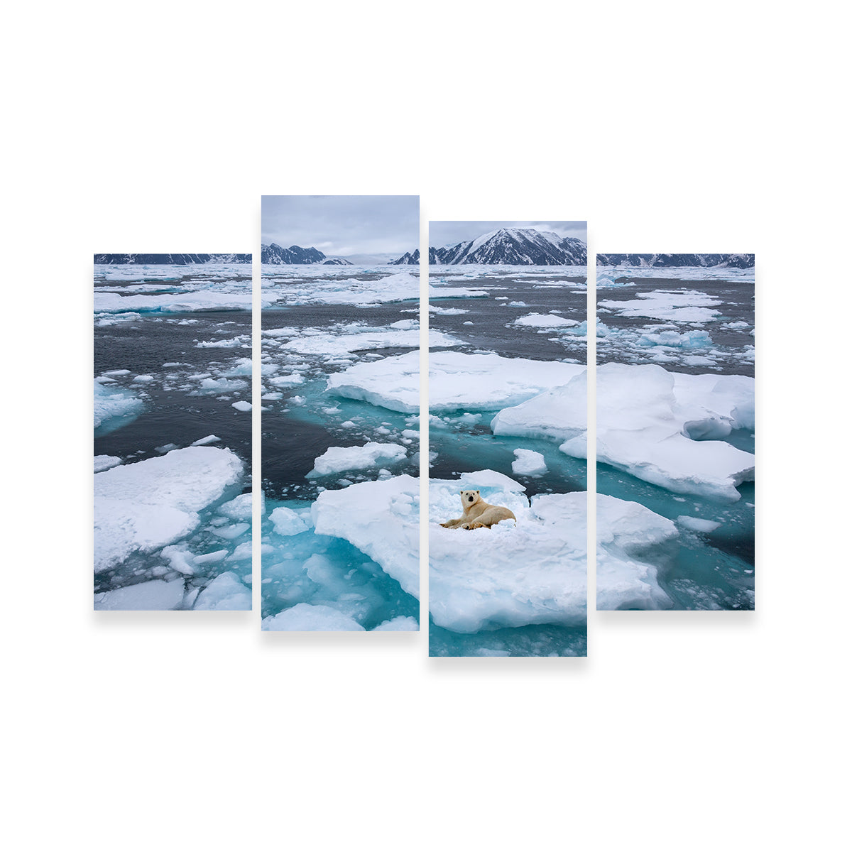 Polar Bear - Greenland Wall Art