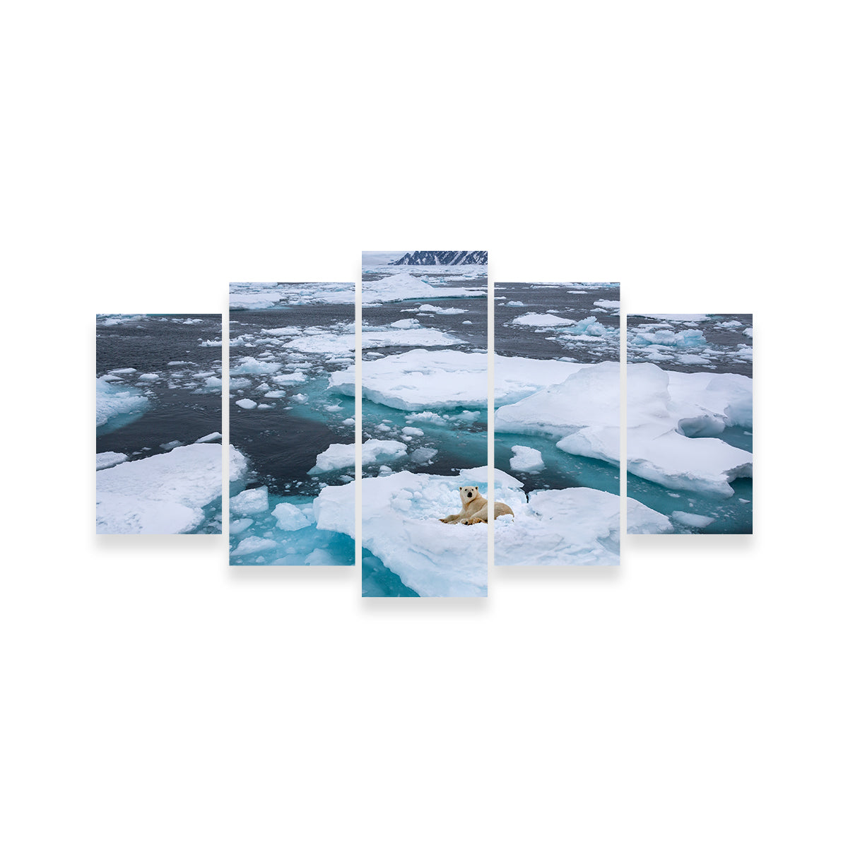 Polar Bear - Greenland Wall Art