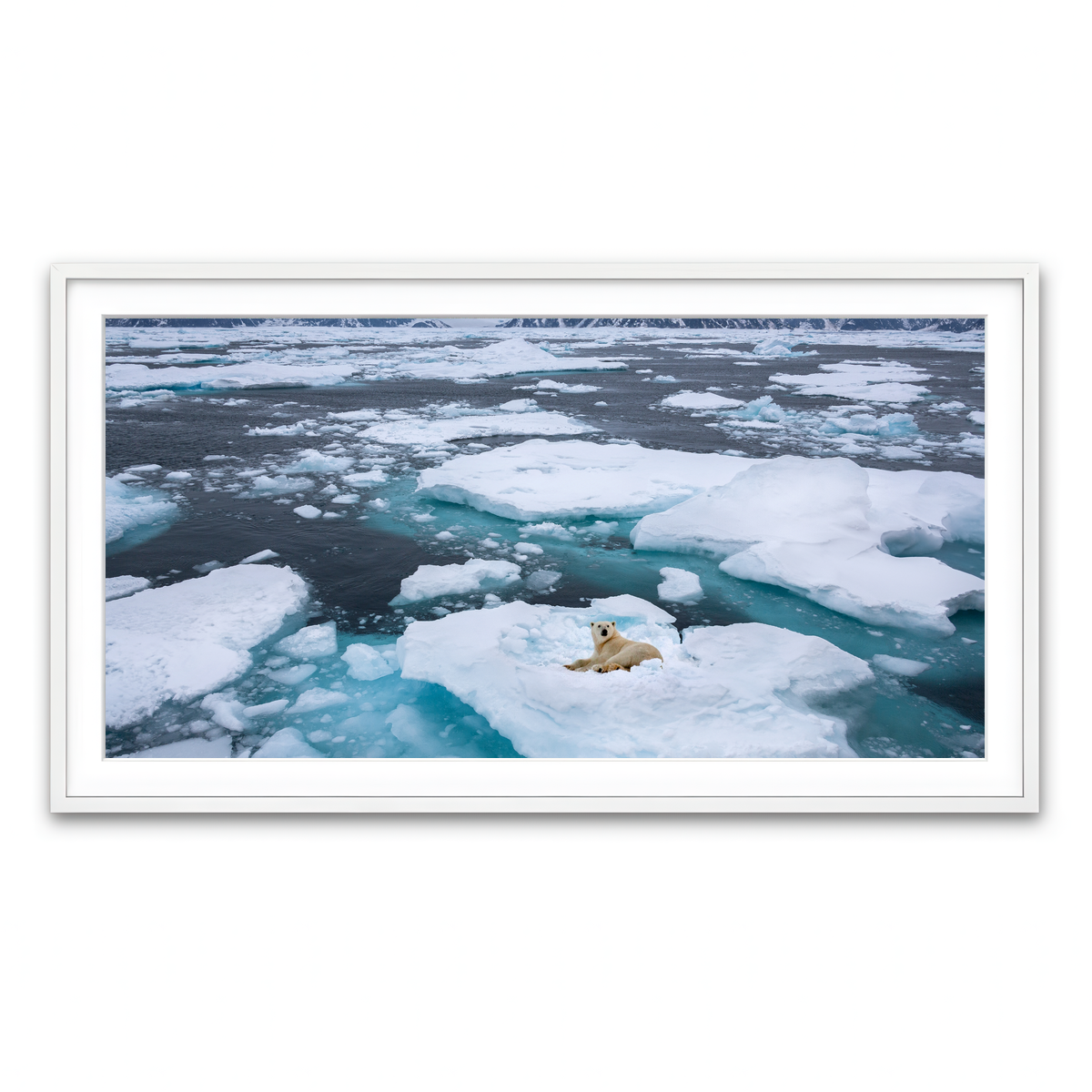 Framed Print 2x1 White