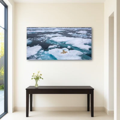 AUTO-MOCKUP ROOM | Polar Bear - Greenland