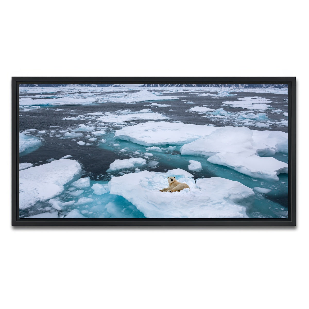 AUTO-MOCKUP WHITE | Polar Bear - Greenland | 1 Piece | Black Framed Canvas | group=2x1