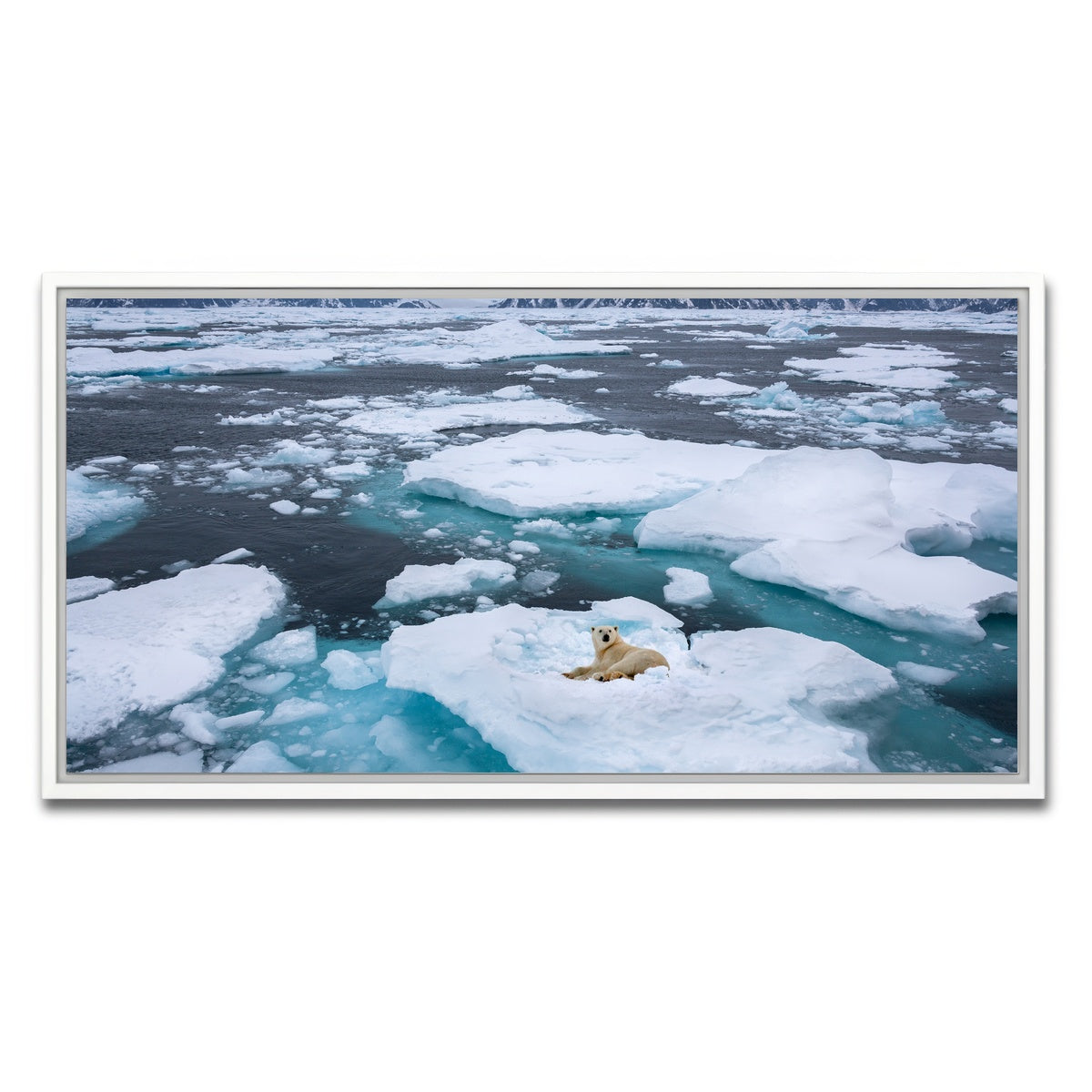 AUTO-MOCKUP WHITE | Polar Bear - Greenland | 1 Piece | White Framed Canvas | group=2x1